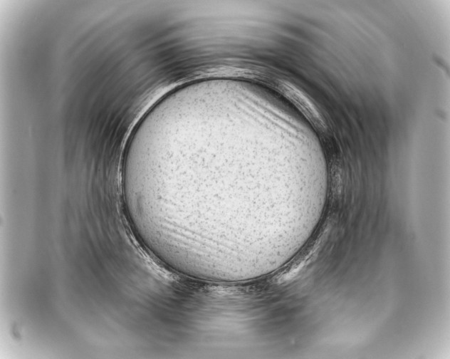 X0000096730852200802261451