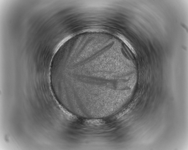 X0000096730853200802261451