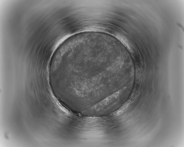 X0000096730854200802261451