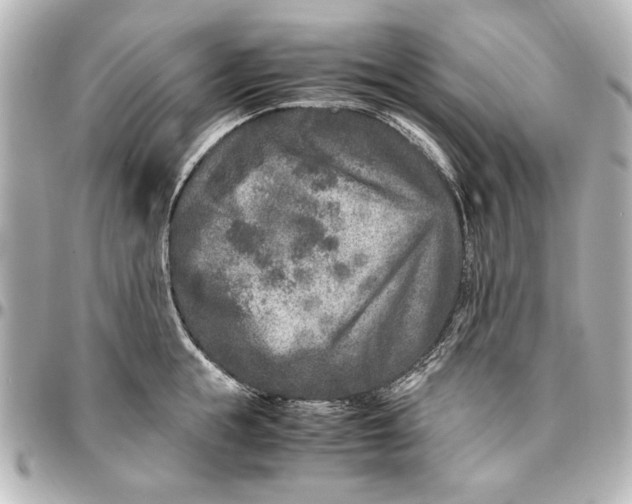 X0000096730855200802261451