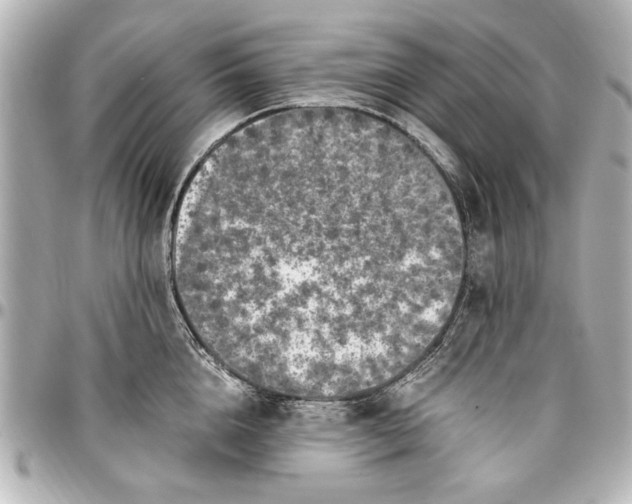 X0000096730856200802261451