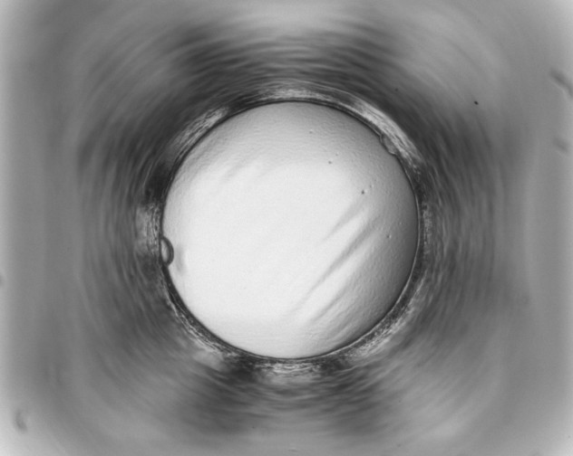 X0000096730857200802261451