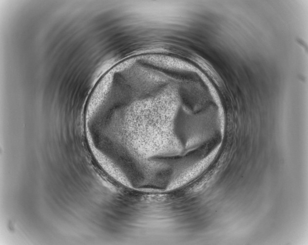 X0000096730858200802261451