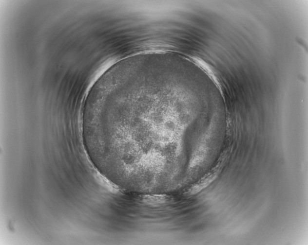 X0000096730859200802261451