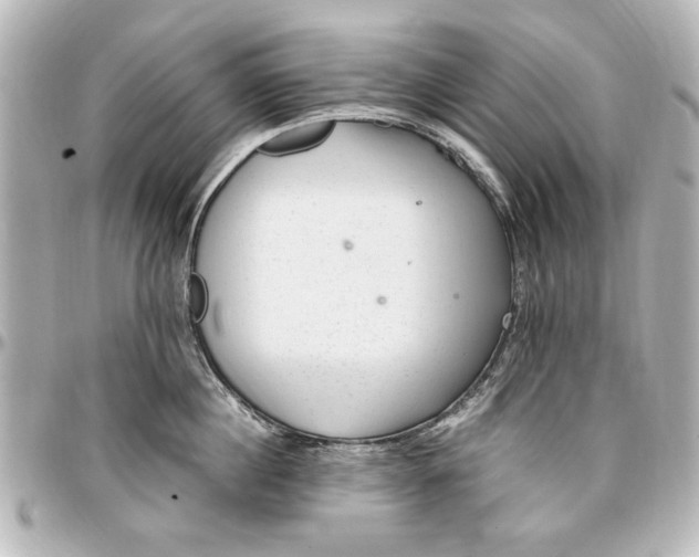 X0000096730860200802261451