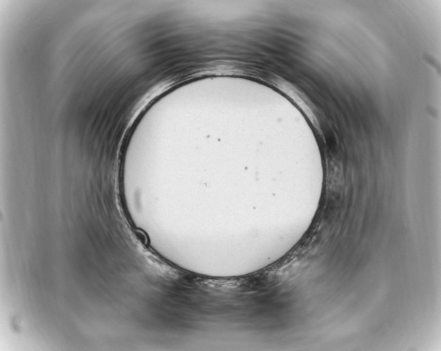 X0000096730861200802261451