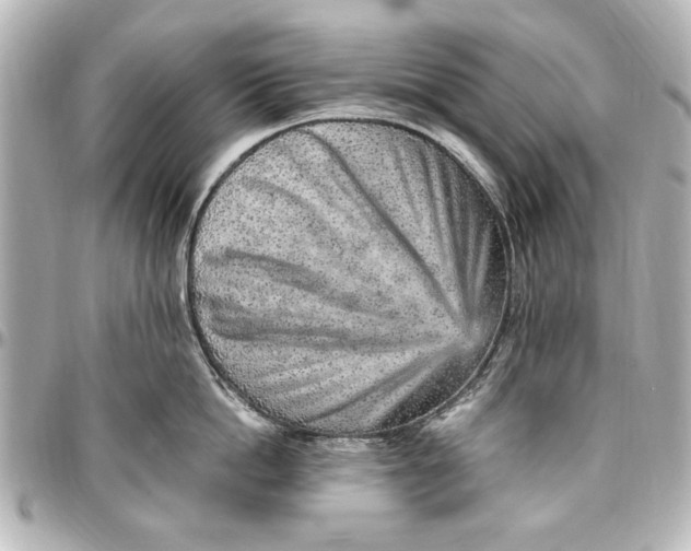 X0000096730862200802261451