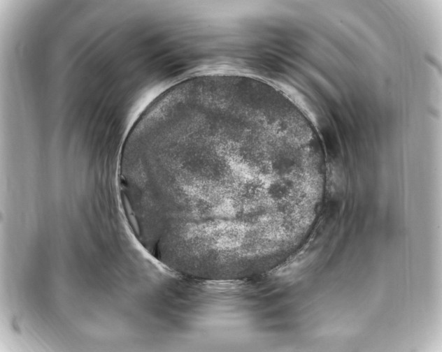 X0000096730863200802261451