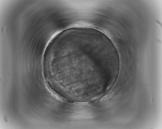 X0000096730864200802261451