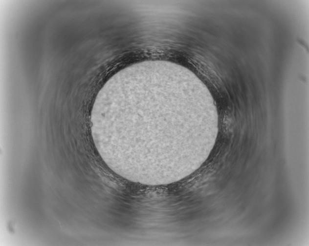 X0000096730865200802261451