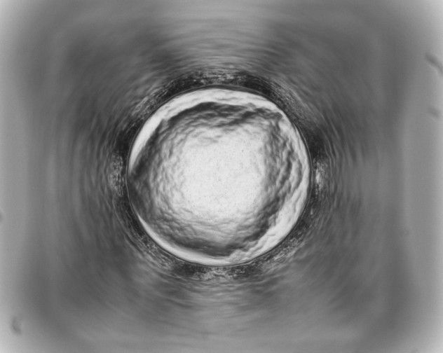 X0000096730867200802261451