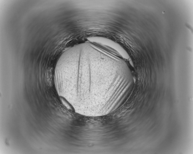 X0000096730868200802261451