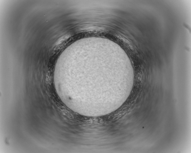 X0000096730869200802261451