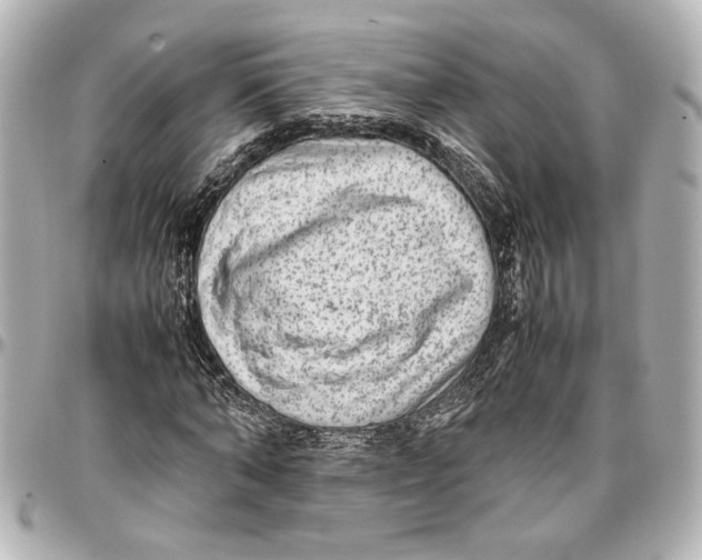 X0000096730870200802261451