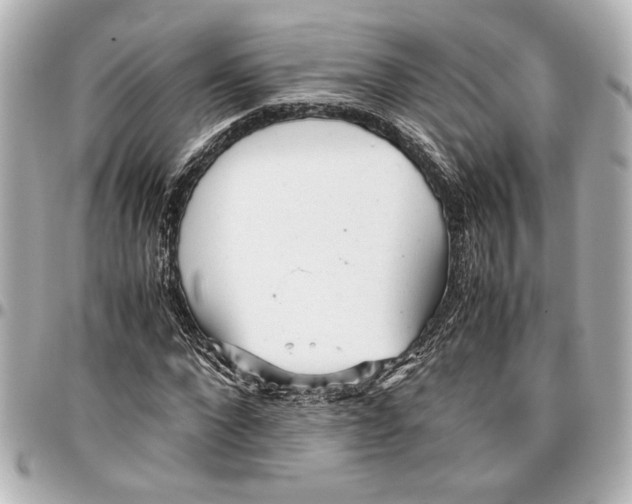 X0000096730872200802261451