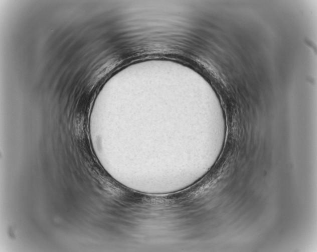 X0000096730873200802261451