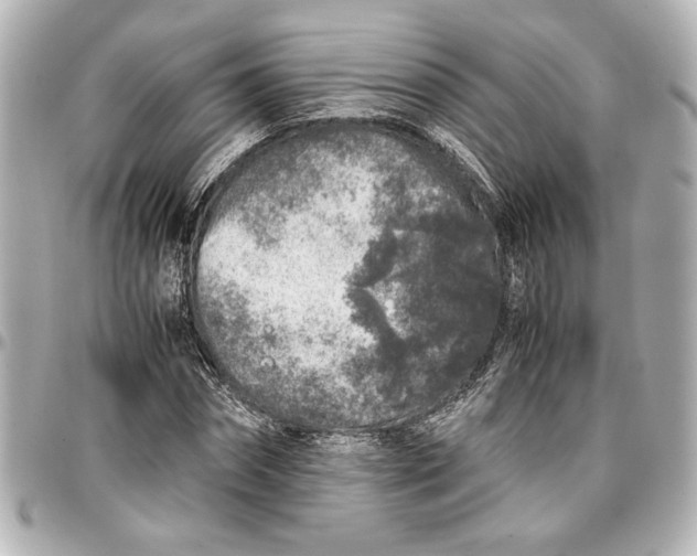 X0000096730874200802261450