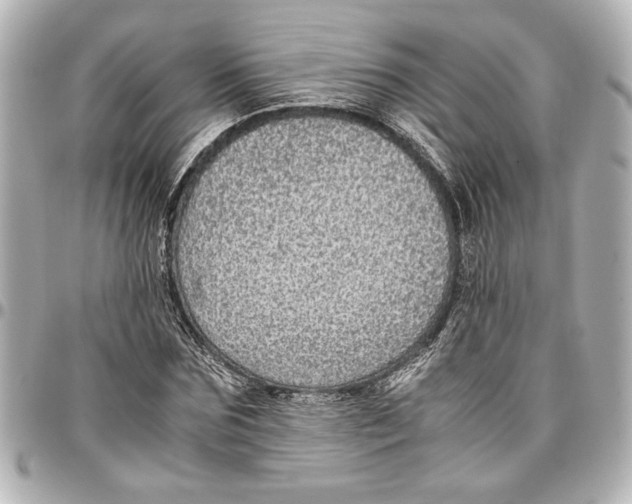 X0000096730875200802261450