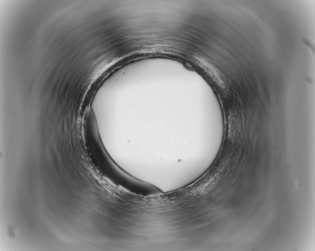 X0000096730876200802261450