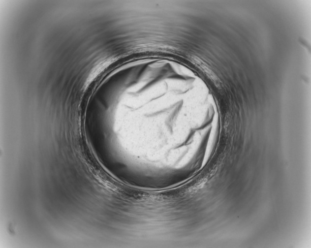 X0000096730877200802261450