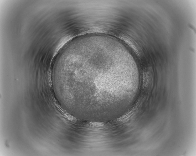 X0000096730878200802261450