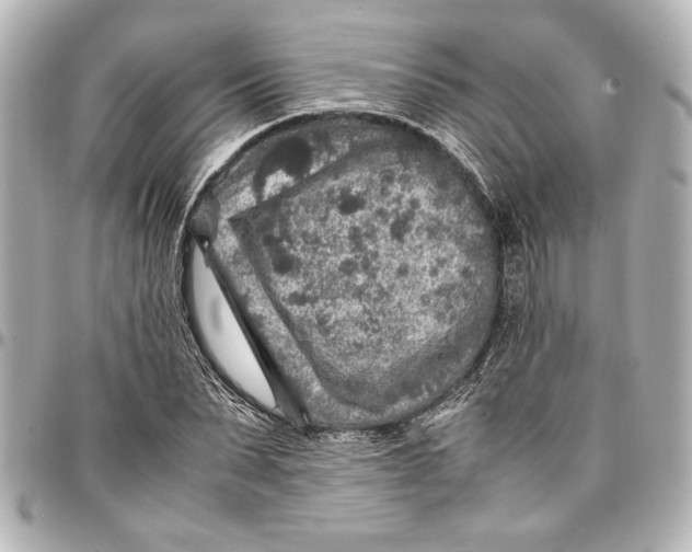 X0000096730879200802261450