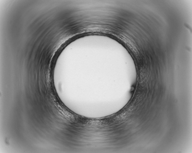 X0000096730880200802261450