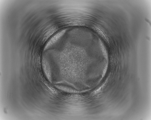 X0000096730881200802261450