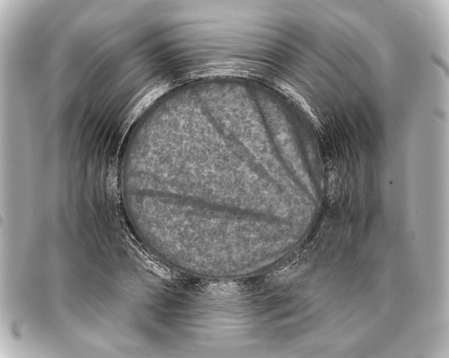 X0000096730882200802261450