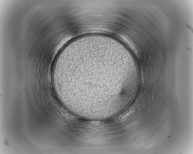 X0000096730883200802261450