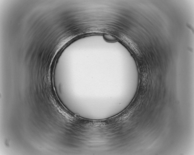 X0000096730884200802261450