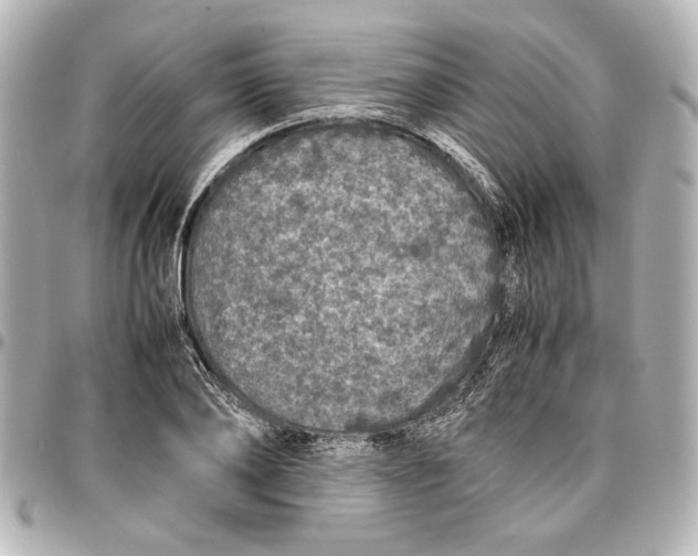 X0000096730886200802261450