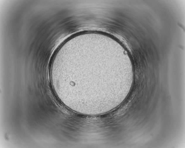 X0000096730887200802261450