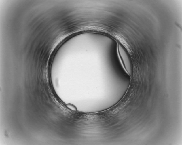 X0000096730888200802261450