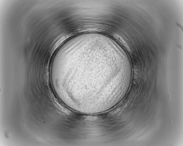 X0000096730890200802261450