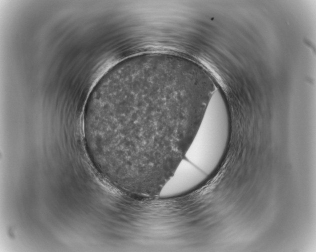 X0000096730891200802261450