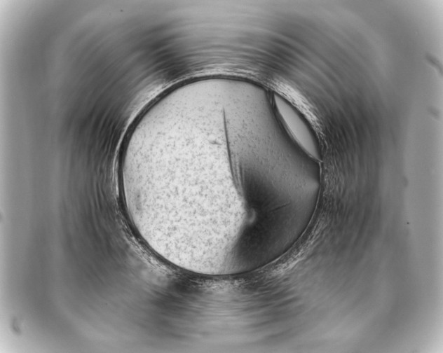 X0000096730892200802261450