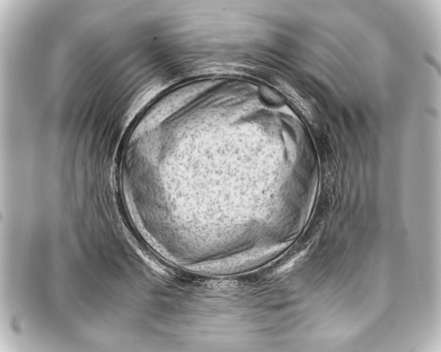 X0000096730893200802261450