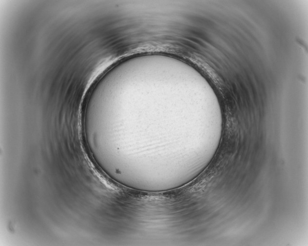 X0000096730894200802261450