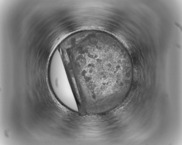 X0000096730895200802261450