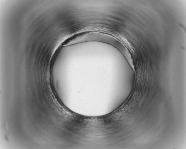 X0000096730896200802261450