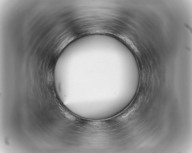 X0000096730897200802261450