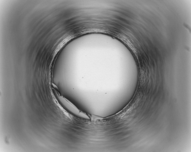 X0000096730898200802261450