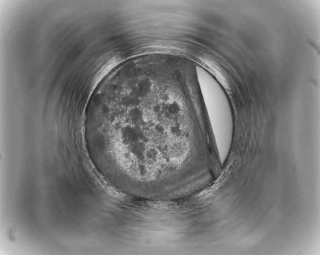 X0000096730899200802261450