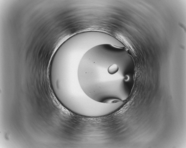 X0000096730900200802261450