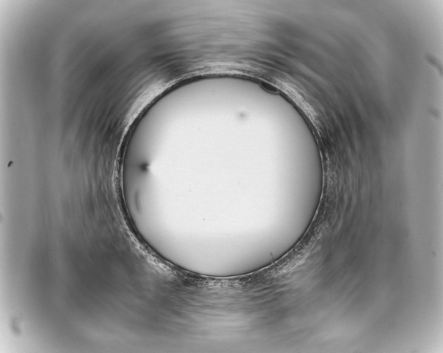 X0000096730901200802261450