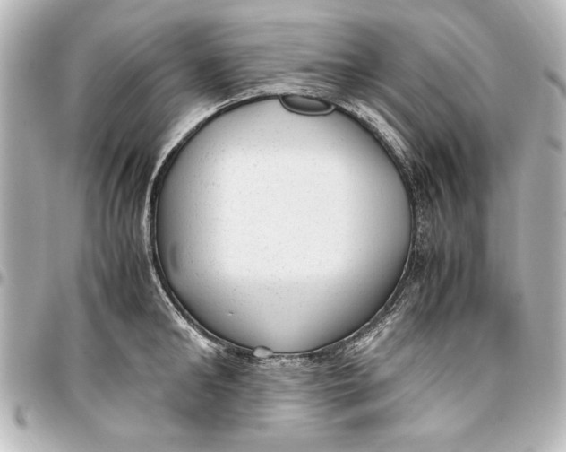 X0000096730902200802261450