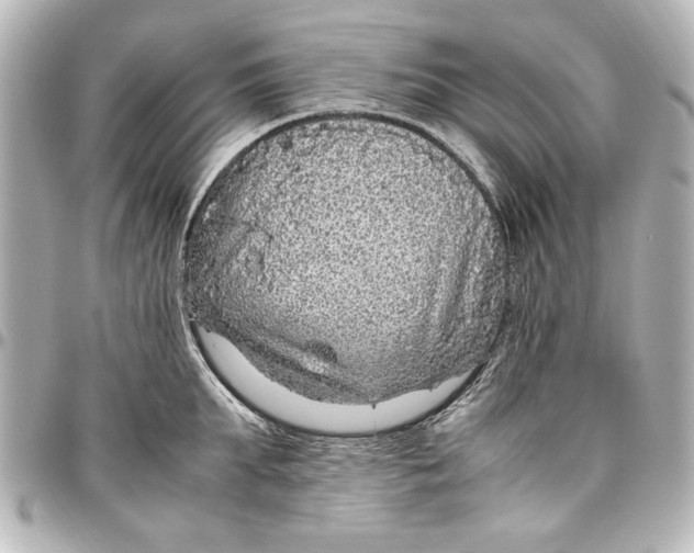 X0000096730903200802261450