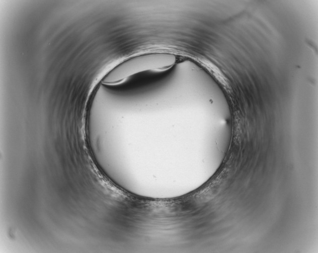 X0000096730904200802261450