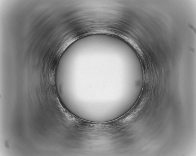 X0000096730905200802261450